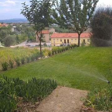 Manutenzione del verde