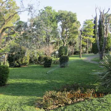 Manutenzione del verde