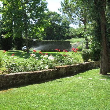 Manutenzione del verde
