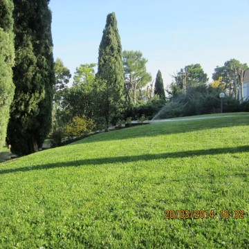 Manutenzione del verde