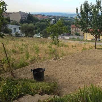 Realizzazione giardini