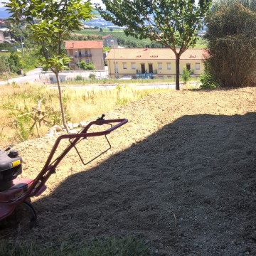 Realizzazione giardini