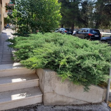 Realizzazione giardini